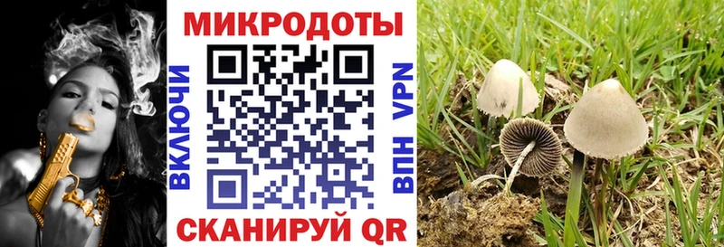 Псилоцибиновые грибы Psilocybe  Алексеевка 